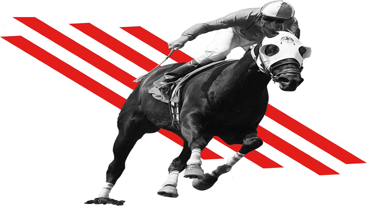 Del Mar Racetrack: A Desire Place To Your Following Vacation Bucket List