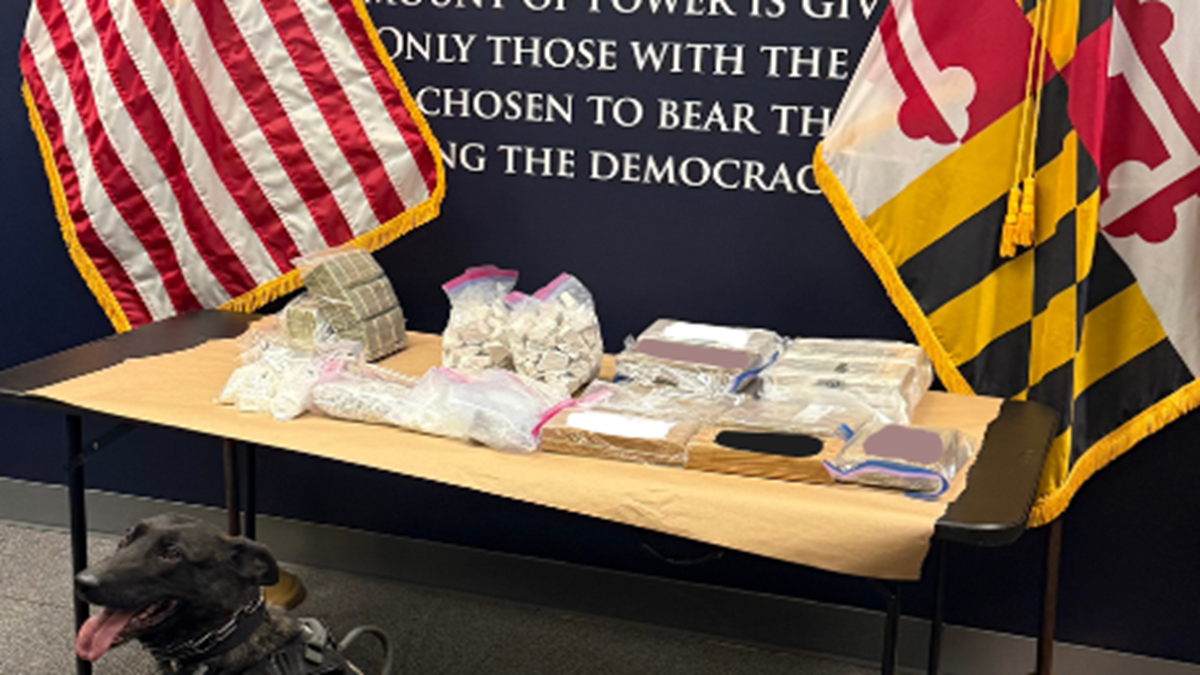 Largest County Drug Bust Ends in 100-Year Max Sentence Facing - The ...