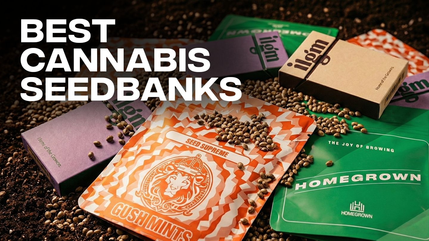 Best Cannabis Seed Banks: Reputable Seed Banks to Buy Cannabis Seed Online