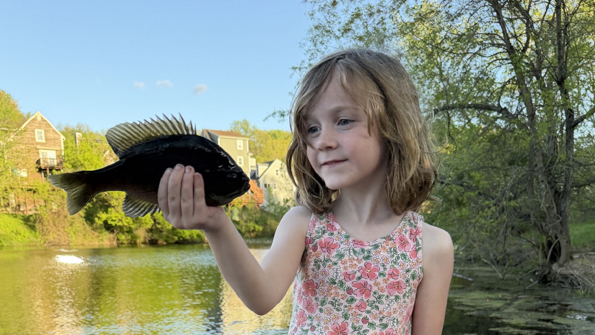 Maryland Fishing Report for Friday, April 24, 2026