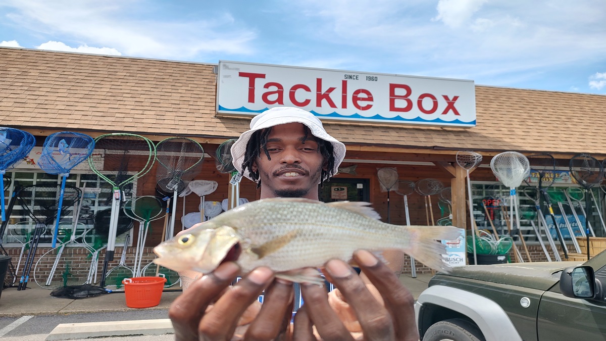 Bay Hits 61 Degrees: Southern Maryland Fishing Heats Up