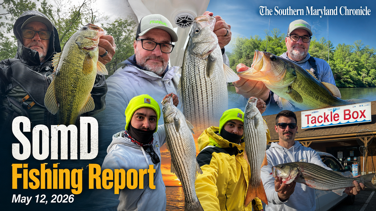 Potomac and Patuxent Open for Striper Season May 16