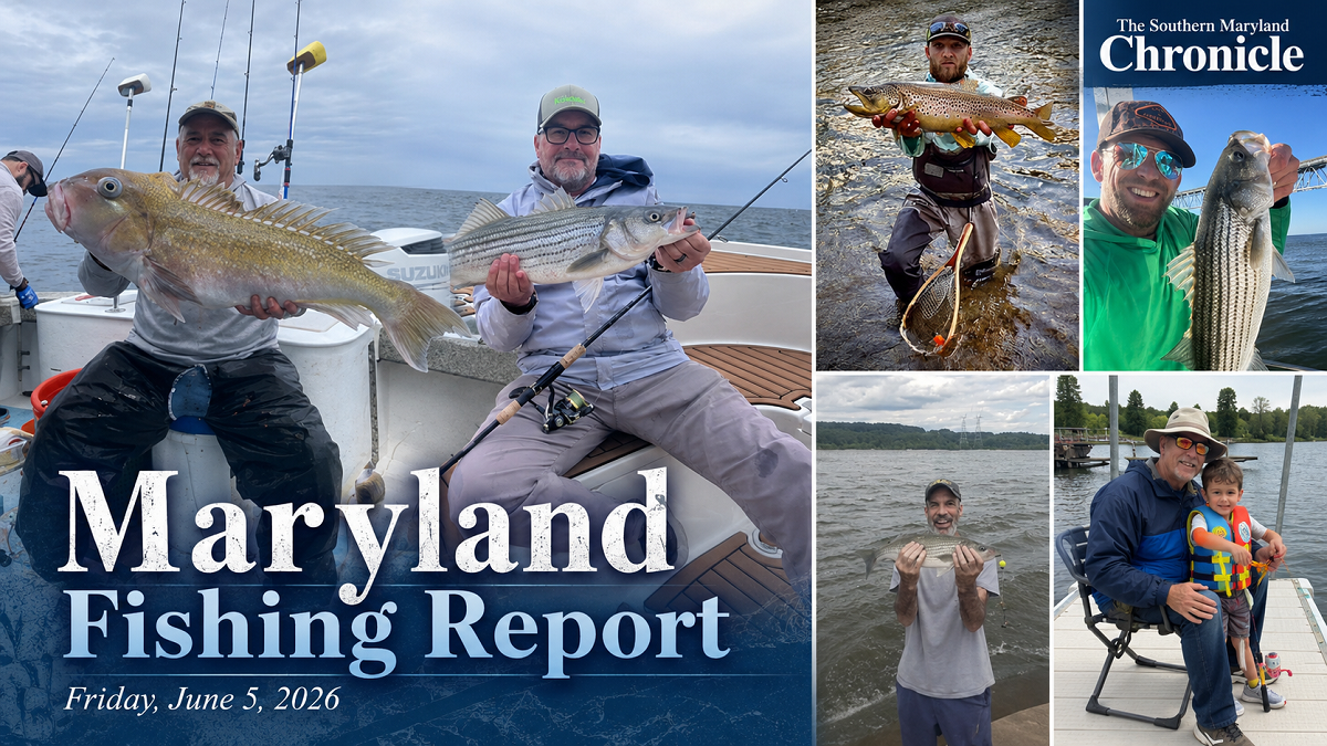 Maryland Fishing Report for Friday, June 5, 2026