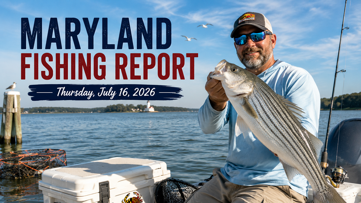 Maryland Fishing Report for Thursday, July 16, 2026