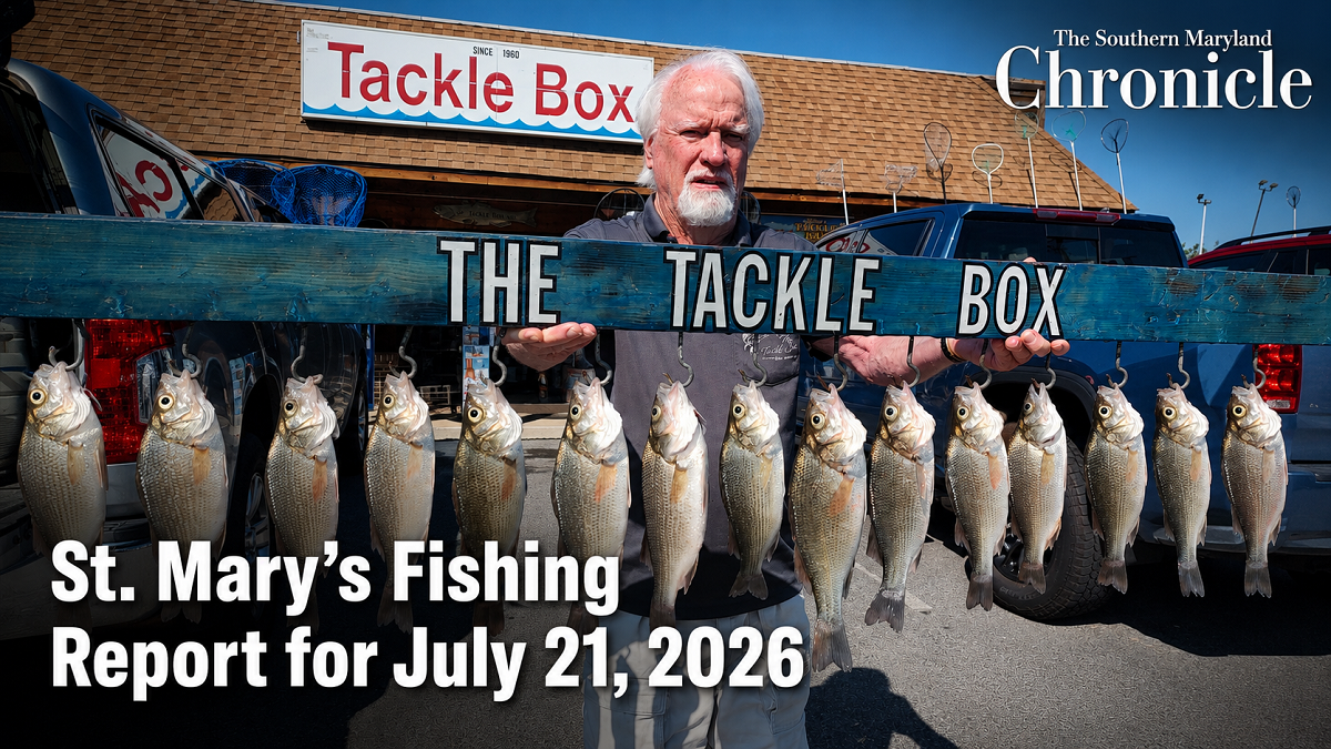 bait box fishing report Pro x Monthly Plan Perfect for learning advanced techniques while saving on top Surfland Bait and Tackle -