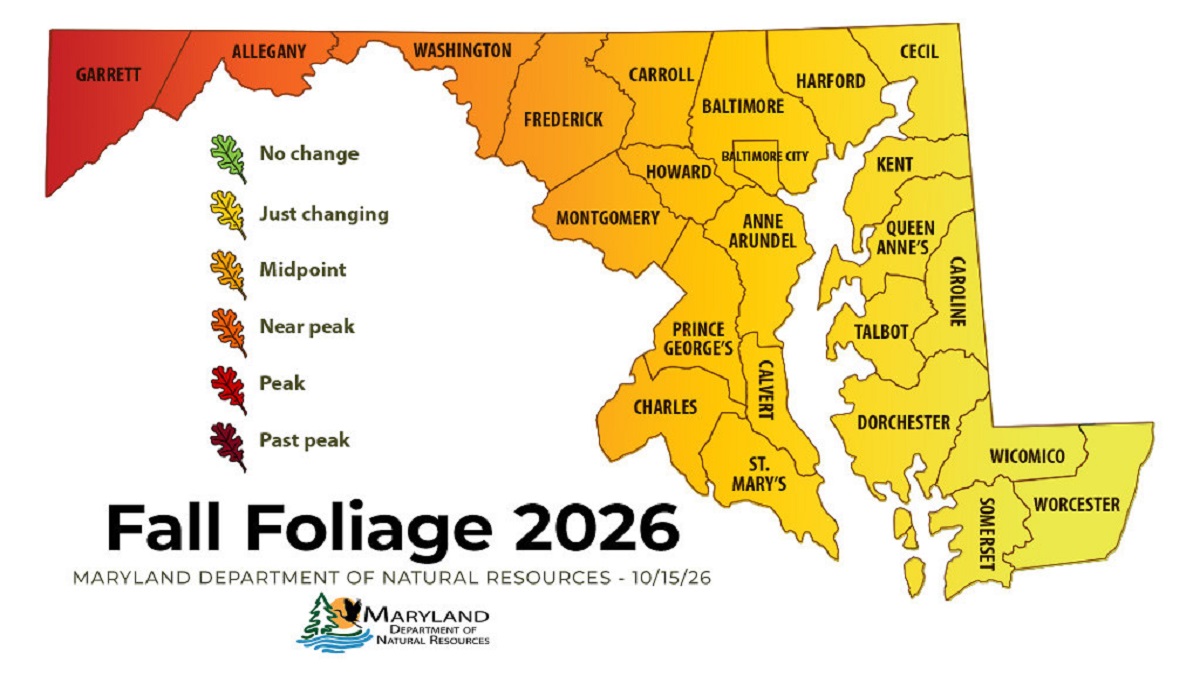 Western Maryland Peaks as Fall Color Spreads Across State